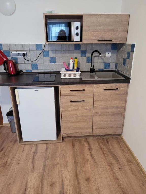 Kuchyň nebo kuchyňský kout v ubytování Apartmány 009