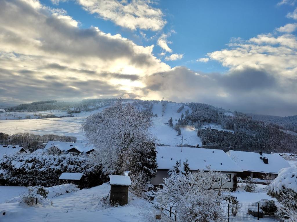 a winter view of a village with snow at Skyline Luxus Suite Willingen in Willingen