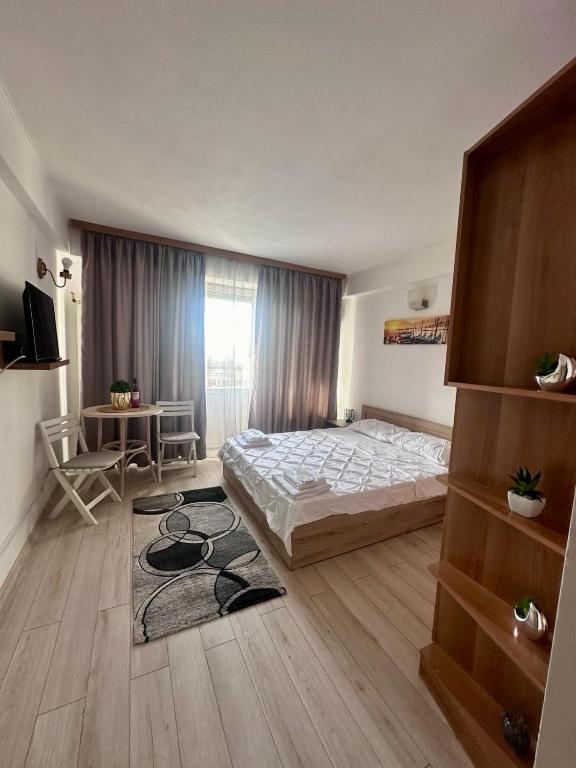 Downtown Studio Calea Victoriei Ultracentral - 工作室