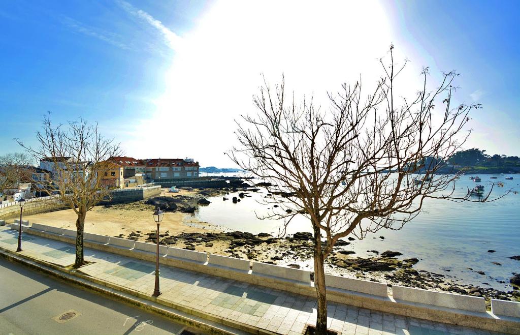 two trees on a sidewalk next to a body of water at Apartamento frente al mar en A Illa de Arousa in Isla de Arosa