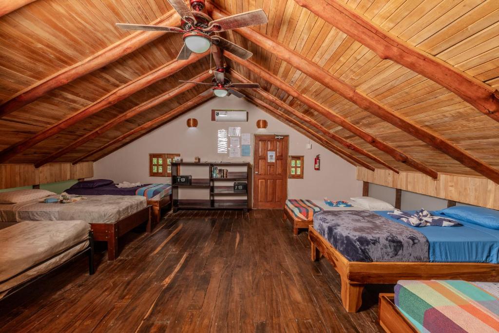 Playa Grande Surf Camp - Einzelbett Im Schlafsaal Mit 6 Betten