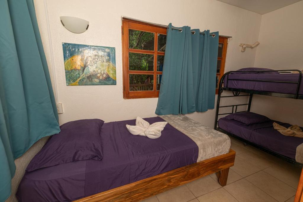 Playa Grande Surf Camp - Apartment Mit Zwei Schlafzimmern