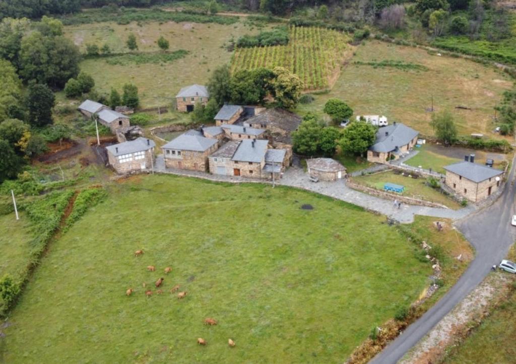 an aerial view of a house with a herd of animals on a field at O Busto Aldea Rural 