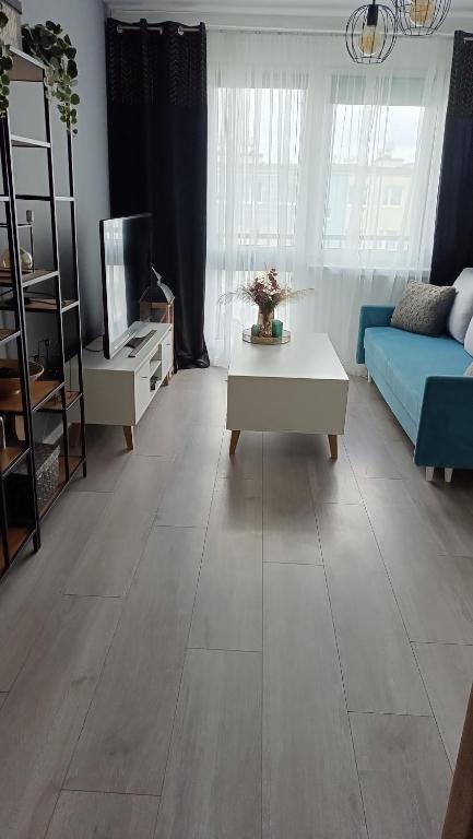 a living room with a couch and a table at Apartament Kościuszki Iława in Iława