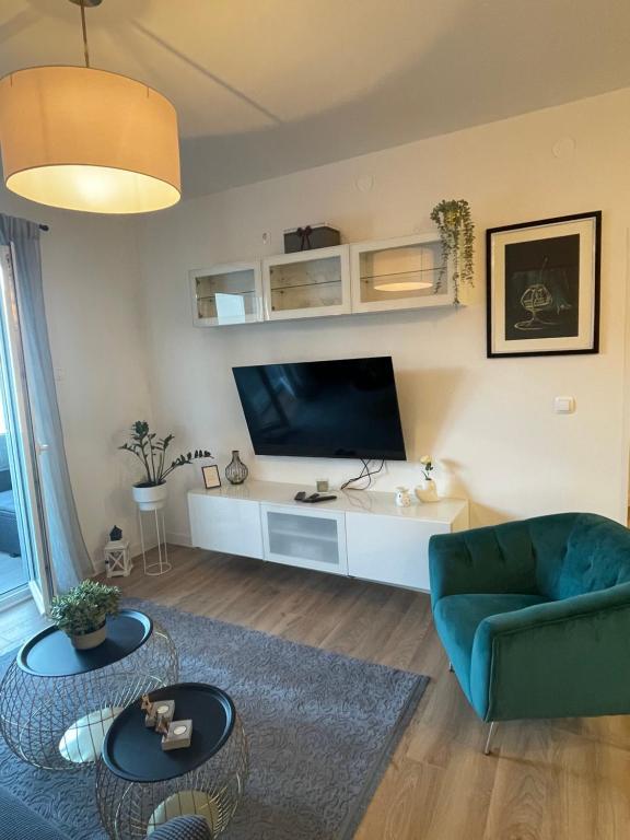 TV a/nebo společenská místnost v ubytování Apartman “Gušt”