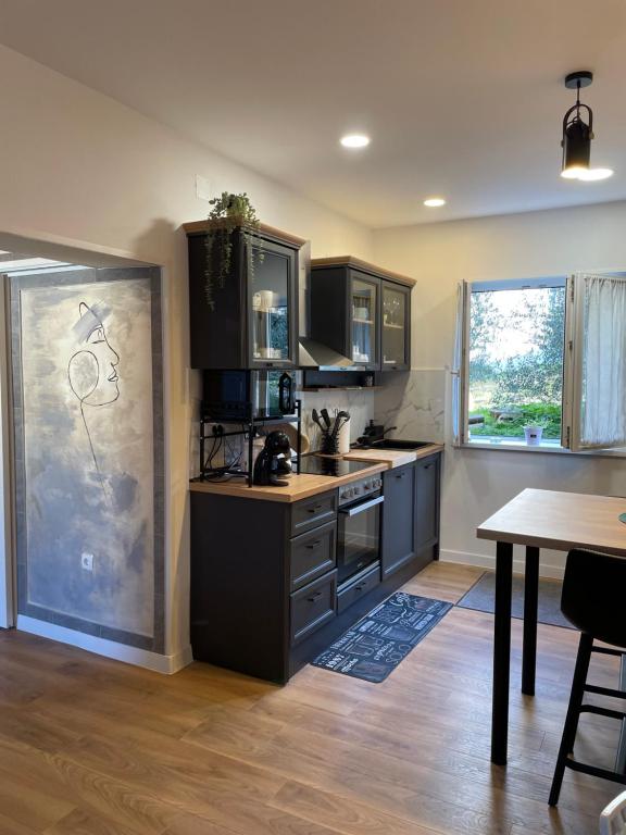 Kuchyň nebo kuchyňský kout v ubytování Apartman “Gušt”