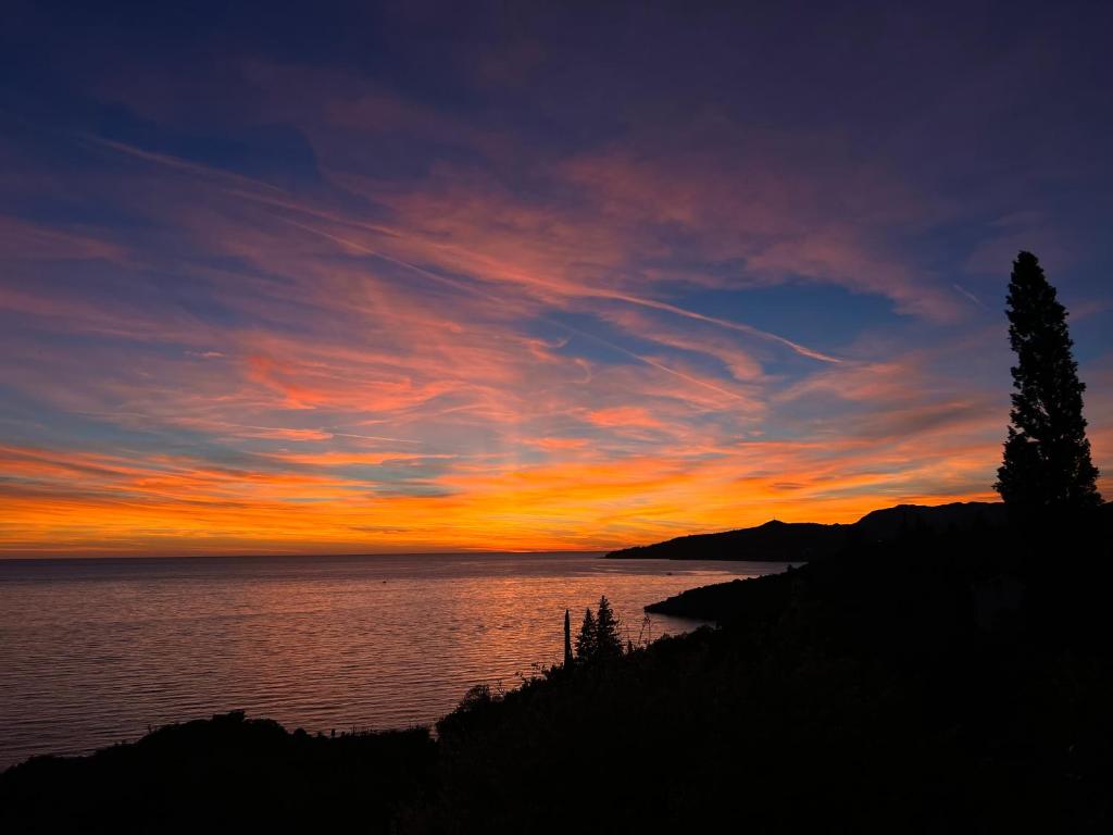 a sunset over a body of water with a tree at Holiday Apartment Lira jacuzzi - sea view- terrace in Mlini