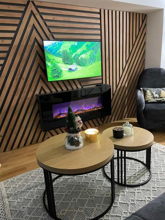 TV a/nebo společenská místnost v ubytování Divcibare Vrh 26
