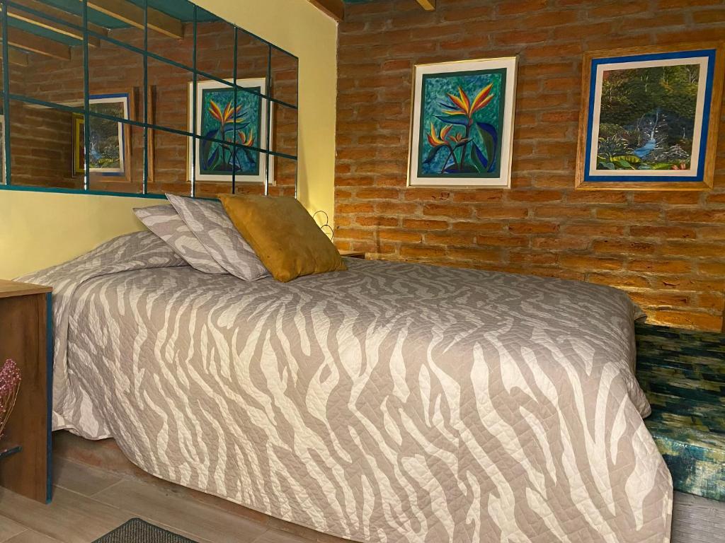Легло или легла в стая в Canta La Rana