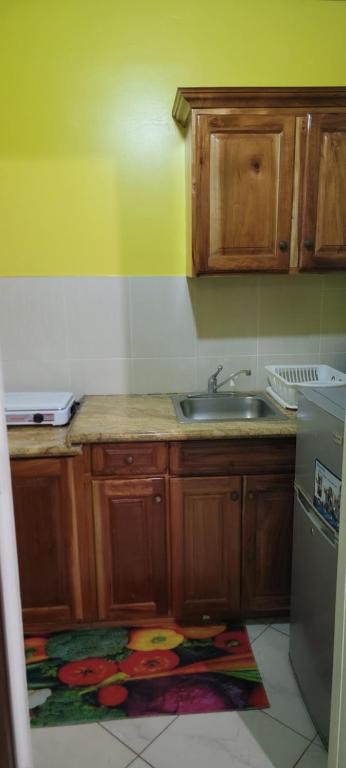 Kuchyň nebo kuchyňský kout v ubytování Wizzy Apartment White River