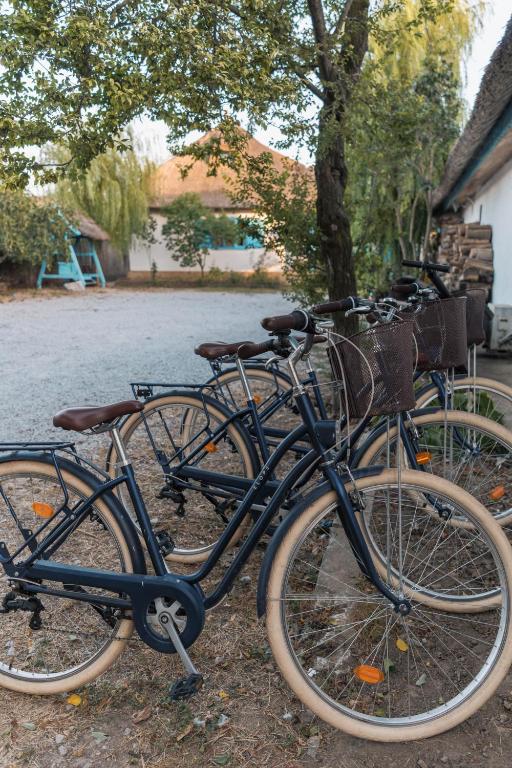 Attività di ciclismo presso l'affittacamere o nelle vicinanze