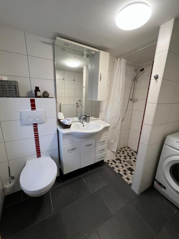 uma casa de banho com um WC, um lavatório e uma máquina de lavar roupa em Lilly's Häuschen em Obereisenheim