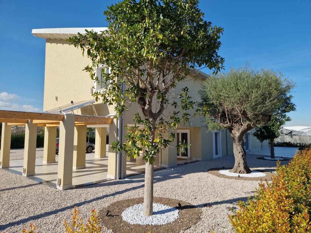 a building with two trees in front of it at Ro agrimaison in Volla