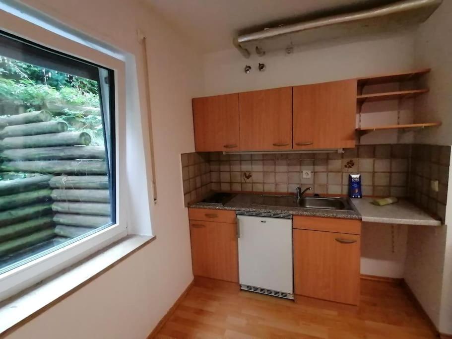 a small kitchen with a sink and a window at Charmantes Apartment mit Extra-Eingang in Neusäß