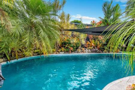 a swimming pool with palm trees and a black umbrella at Serenity @ Bayview in Bayview Heights