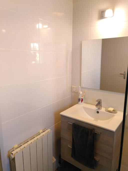 a bathroom with a sink and a mirror and a radiator at Appart T3 Spacieux + Terrasse in Montpellier