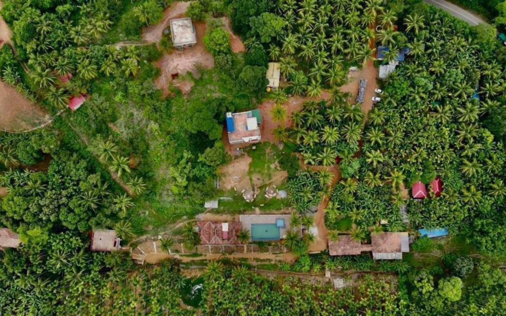 an overhead view of a yard with houses and trees at Pepper Paradise by StayApart in Dandeli
