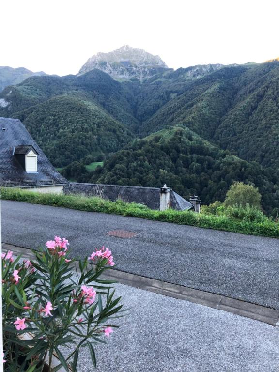山景或在酒店看到的山景