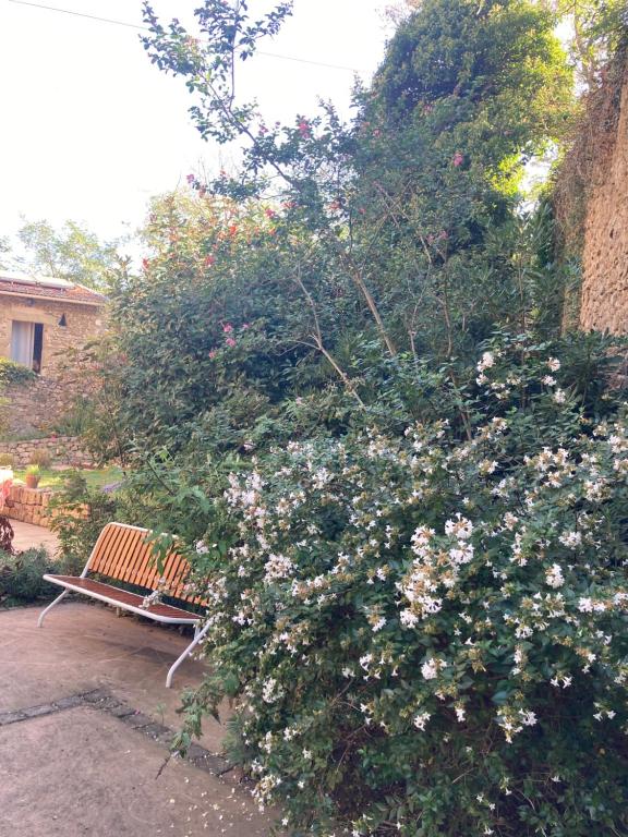Zahrada ubytování Domaine de Pipangaille