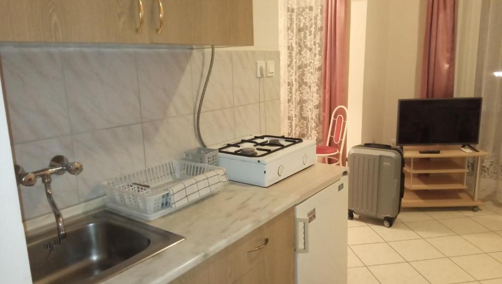 Kuchyňa alebo kuchynka v ubytovaní Bötös Villa Haus