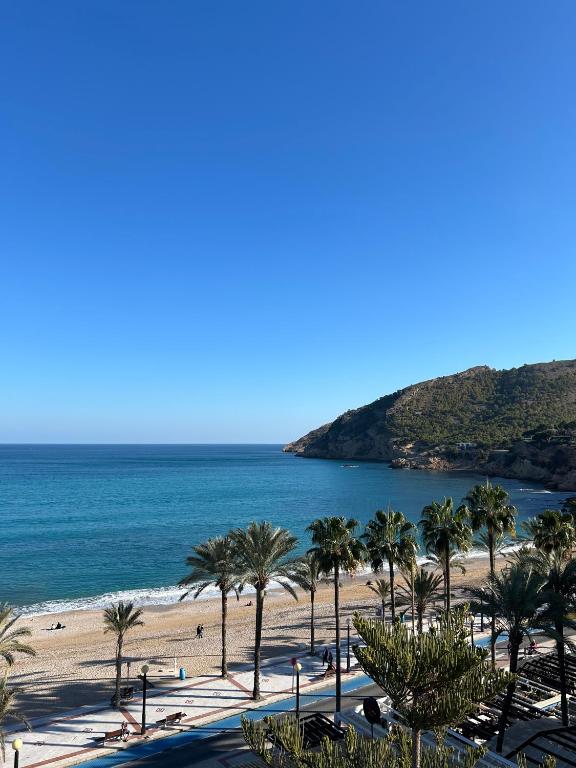 Blick auf einen Strand mit Palmen und das Meer in der Unterkunft Terraza Albir in Albir