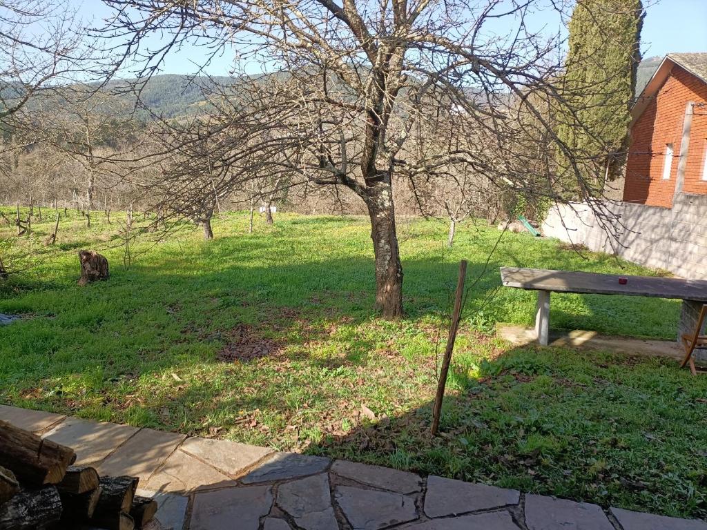 un banc de parc à côté d'un arbre dans un champ dans l'établissement CASA DA RIBEIRA, à Quiroga
