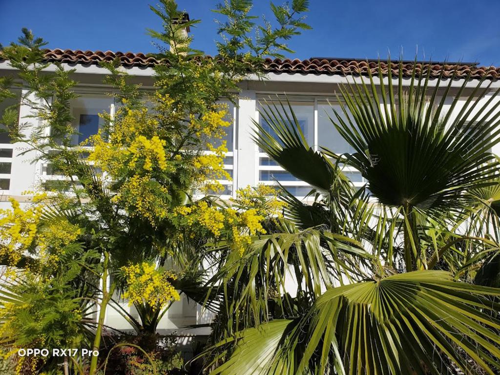 Κήπος έξω από το Lavocette maison appartement