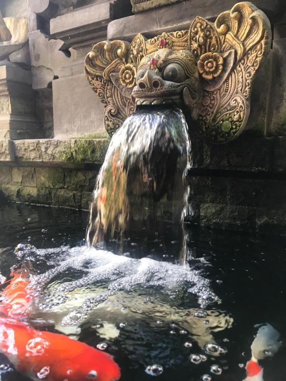 Fotografie z fotogalerie ubytování Banana Home Stay Ubud v Ubudu