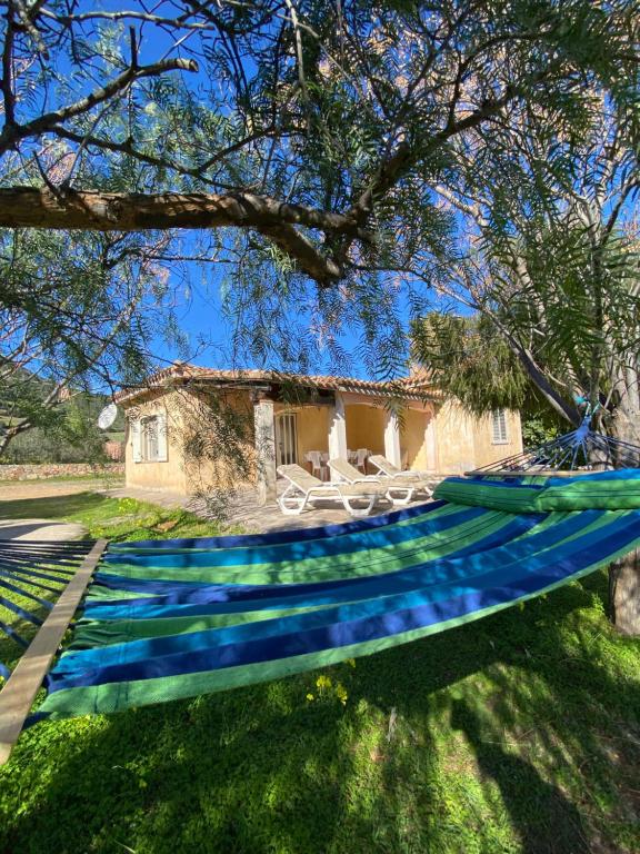 Κήπος έξω από το Villa Verde
