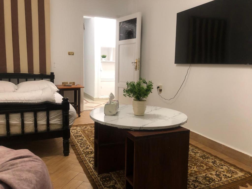 ein Wohnzimmer mit einem Tisch und einer Topfpflanze darauf in der Unterkunft cozy room near the airport in Kairo