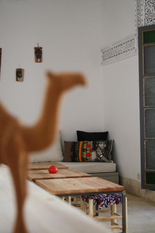 Fotografie z fotogalerie ubytování Riad Yamcha v destinaci Meknes