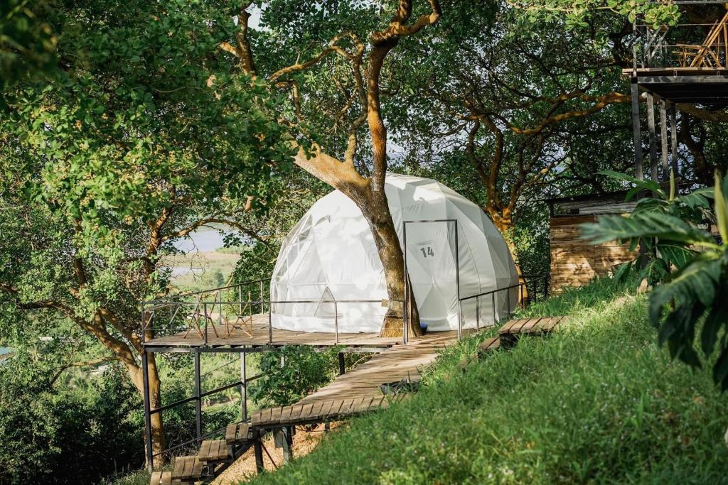 a dome tent in the middle of a forest at Tropical eGlamping in Tân Phú