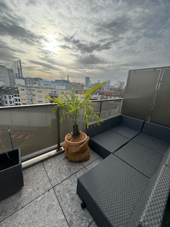 - un balcon avec une plante en pot au-dessus d'un bâtiment dans l'établissement Apartment with nice view of Basel, à Bâle