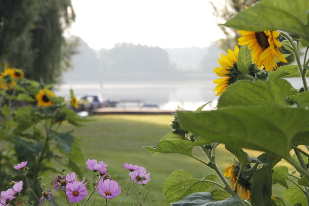 Gallery image of Ferienwohnung Seeidyll in Groß Köris