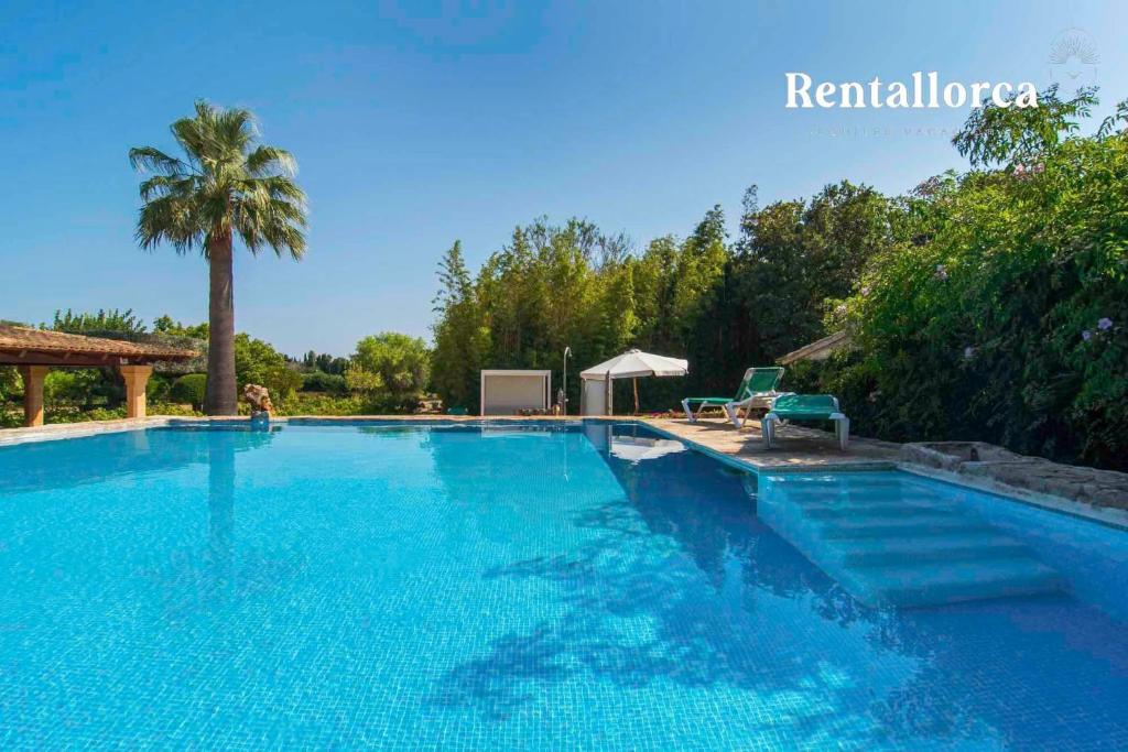 una gran piscina azul con una palmera en Finca Ses Contesas by Rentallorca en Alcúdia