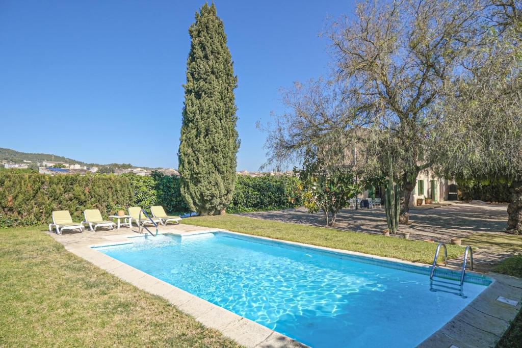 維拉弗蘭卡德博納尼的住宿－Finca la Finquita by Rentallorca，庭院内的游泳池,带椅子和树木