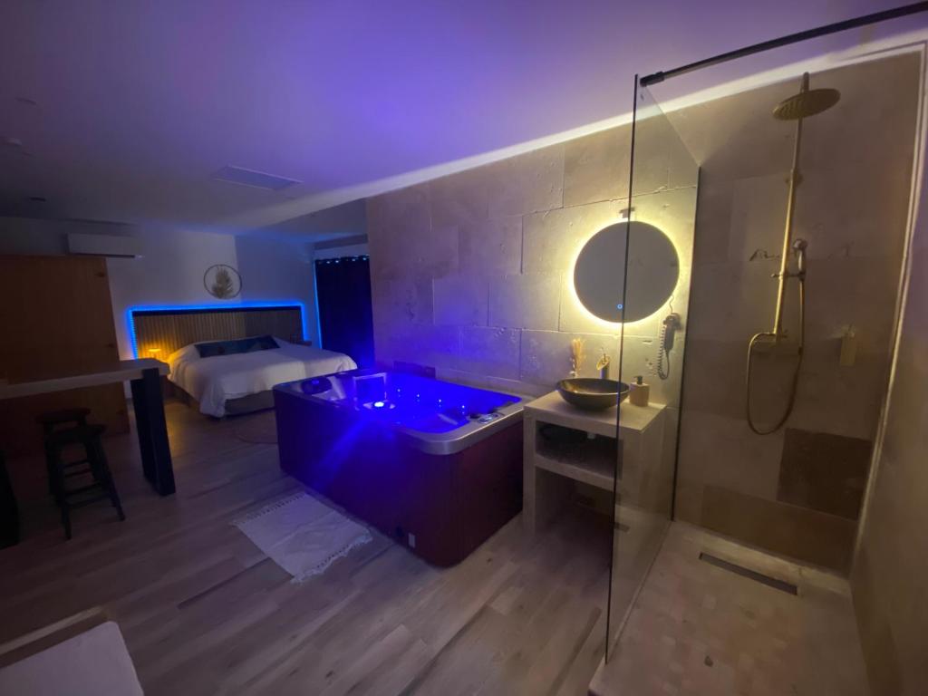 1 dormitorio con 1 cama y baño con bañera. en Côté spa en Saint-Victoret