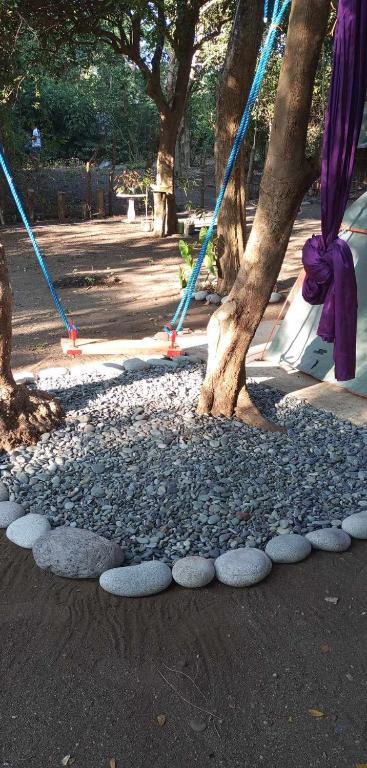 Zahrada ubytování JUNGLE GYM LA UNION Prana fan kubo 2 pax