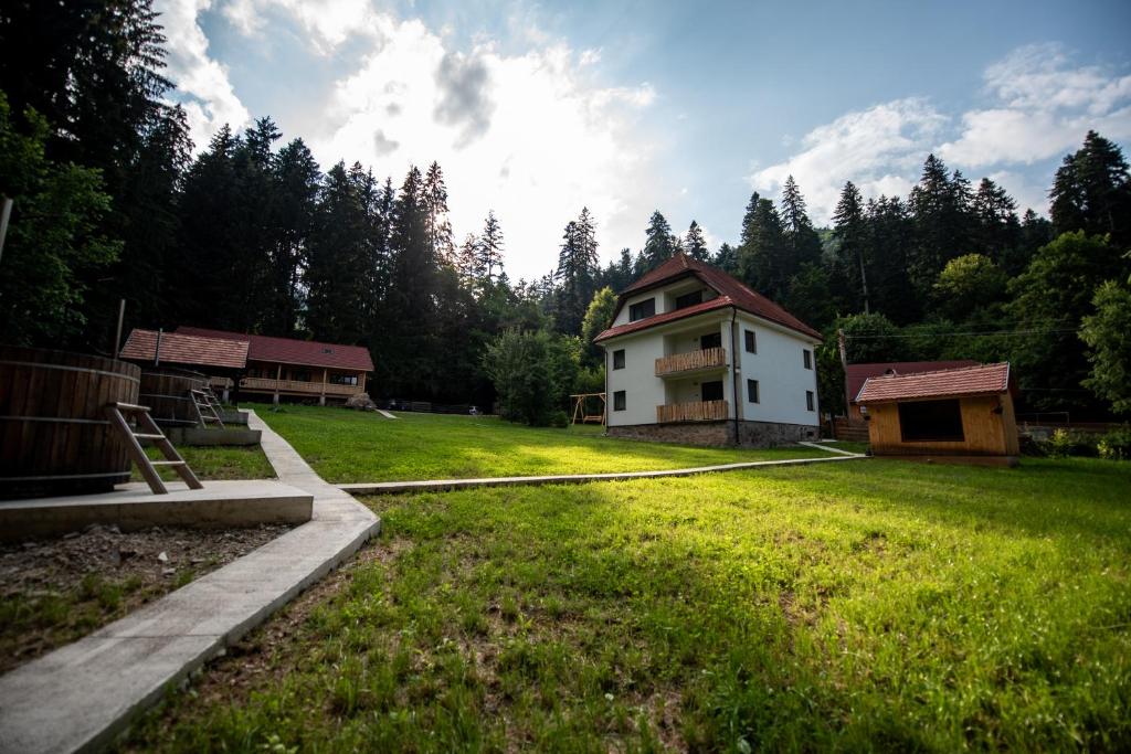 une cour avec une maison au milieu d'un champ dans l'établissement Forest Resort, à Băile Tuşnad