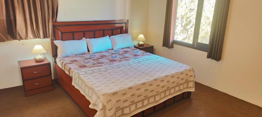 a bedroom with a large bed with blue pillows at Alan's 3BHK in Nainital