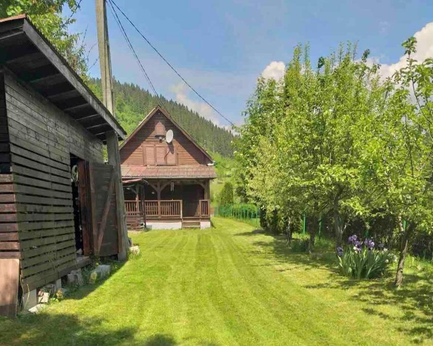 a house with a green yard next to a building at Vacation House Lunca Bradului in Lunca Bradului