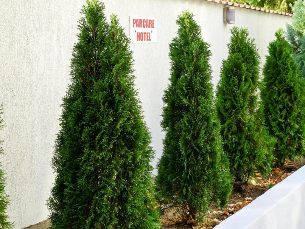 HOTEL CRISS - Resim 17