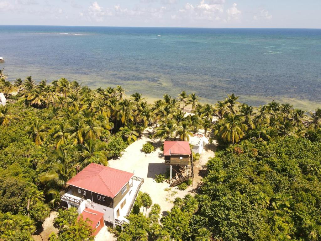 an aerial view of a resort with palm trees and the ocean at North Beach Retreat in San Pedro
