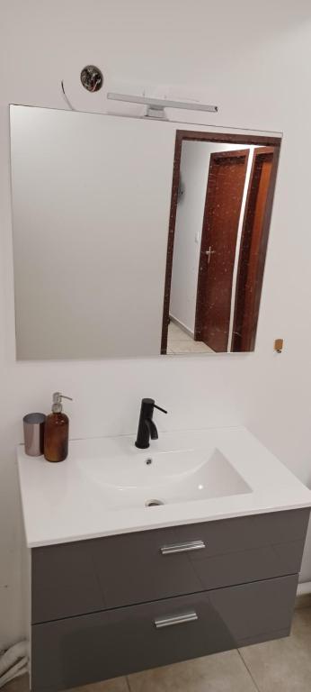 a bathroom with a white sink and a mirror at NANA A33 Appartement 2 Chambres Climatisées cuisine équipée Netflix in Cayenne