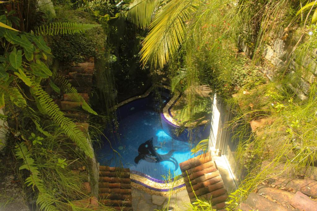 Bazén v ubytování Villa Olde Ceylon nebo v jeho okolí