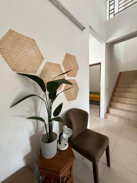 een woonkamer met een stoel en een plant bij Solehah Homestay in Seri Iskandar