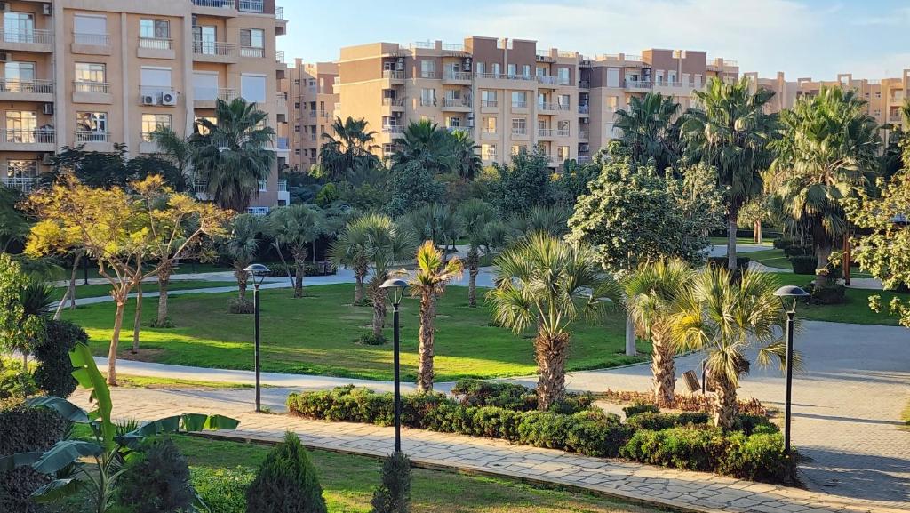 um parque com palmeiras e edifícios ao fundo em Madinaty apartment شقة فندقية مفروشة سوبر لوكس في مدينتي em Madinaty