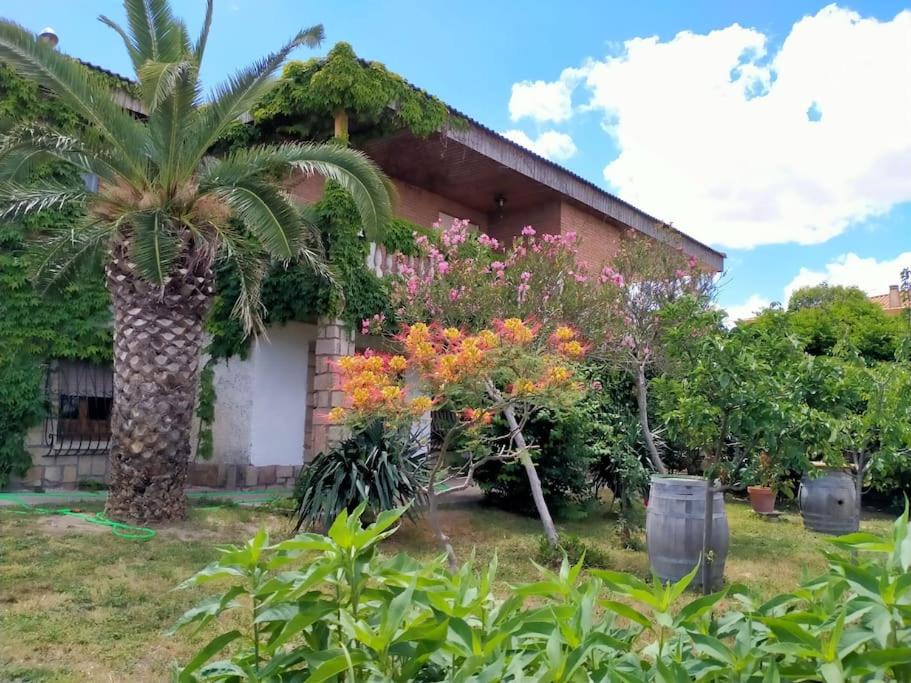 a palm tree in front of a house at La Casona de Toledo in Gerindote
