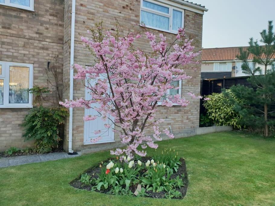a tree in front of a house with pink flowers at The Annexe in Bridlington