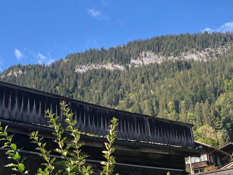 Příroda nedaleko apartmánu